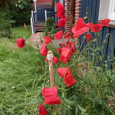 Apartamento Am Freitagsbach